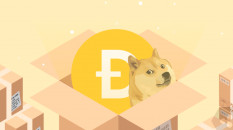 Крупный онлайн-магазин Newegg начал принимать к оплате криптовалюту Dogecoin.