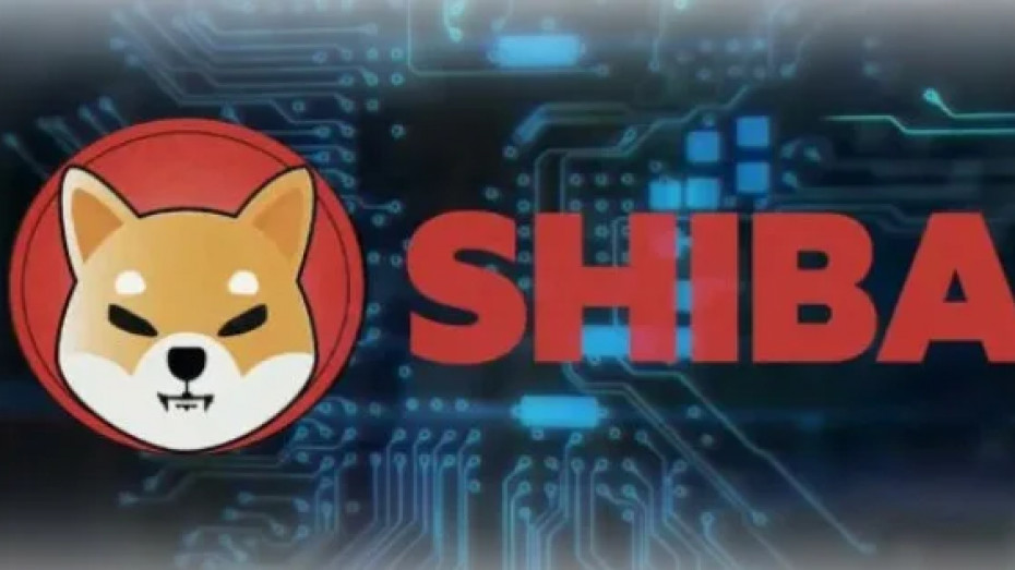 У Binance закончились ETH-адреса для депозитов из-за спроса на токен SHIB.