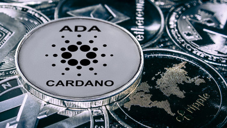 В сети Cardano запустили первую децентрализованную биржу.