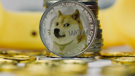 Компании Илона Маска будут принимать к оплате Dogecoin.