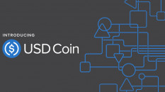 USDC станет доступен в 5 новых сетях.