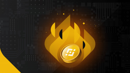 BNB Foundation провела ежеквартальное сжигание BNB.